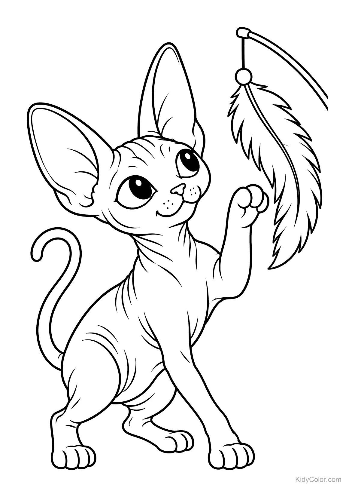 Sphynxkat reikt naar een hangend veertje.