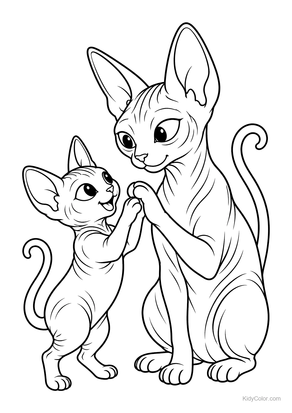 Sphynxkat speelt speels met een kitten.