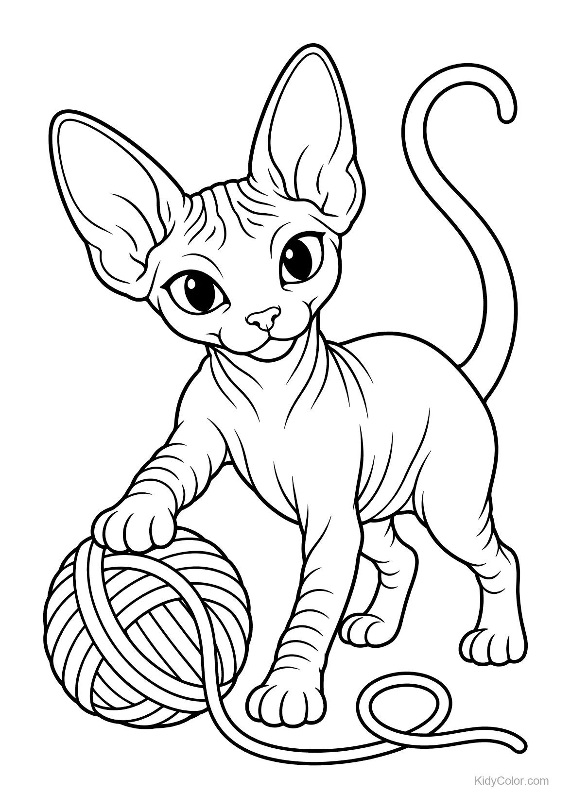 A playful Sphynx cat with a ball of yarn.