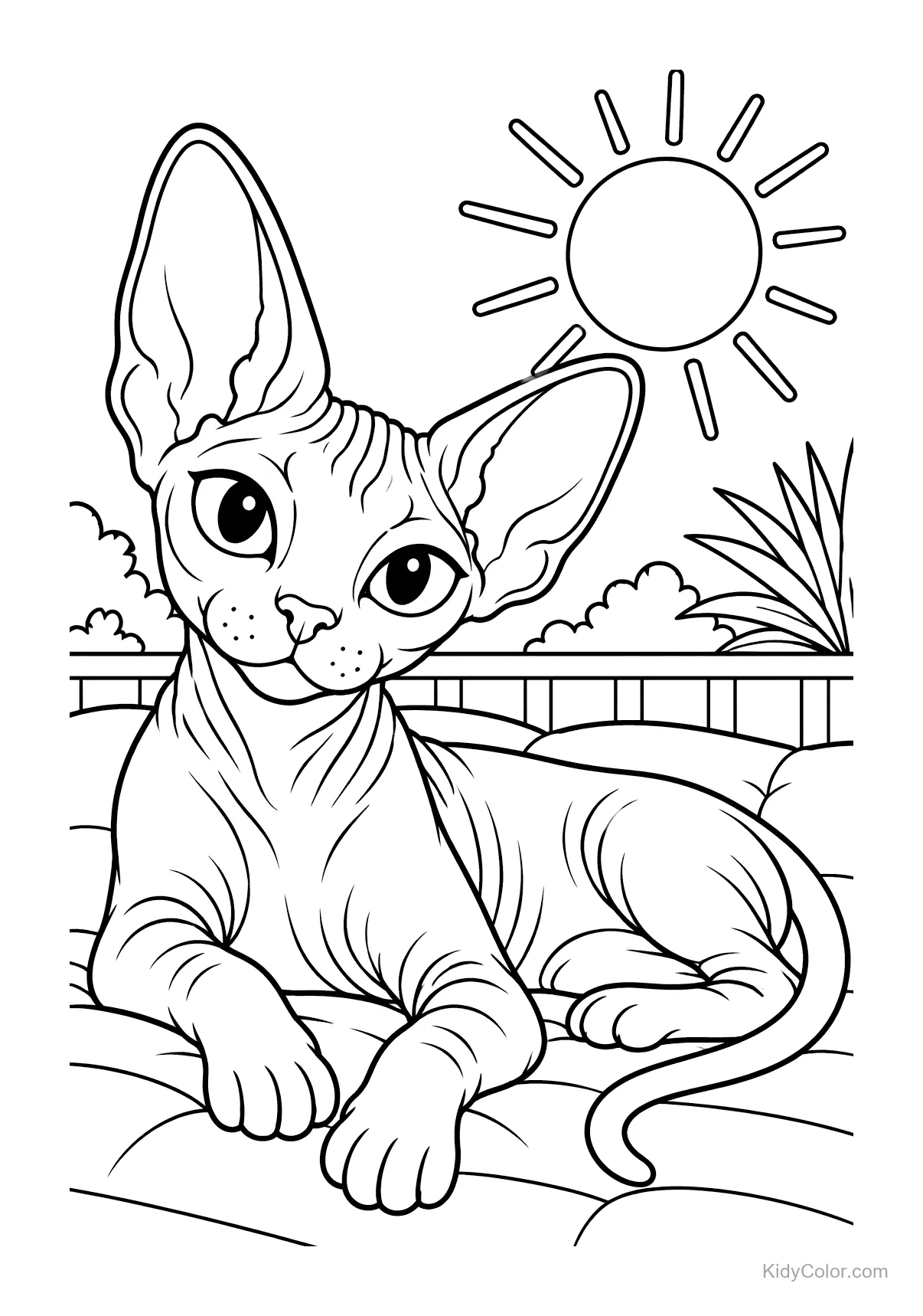 Sphynx cat lounging under the sun with large ears.