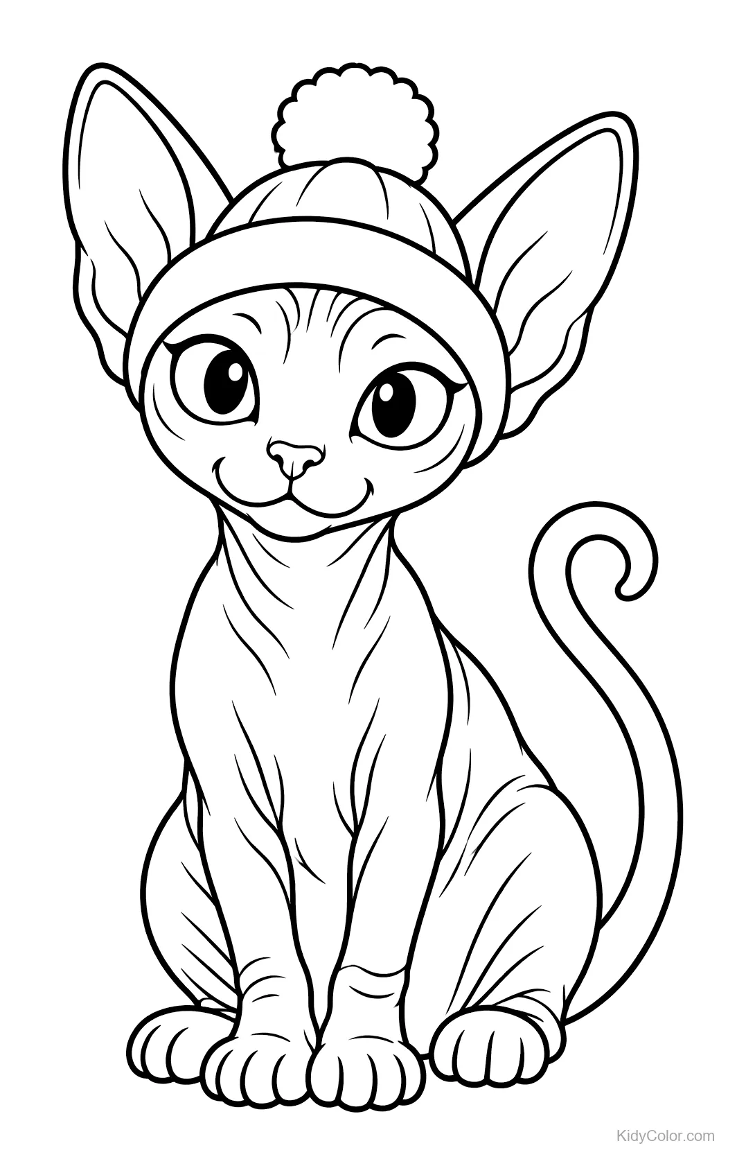 Sphynx-Katze mit Wintermütze sitzt.