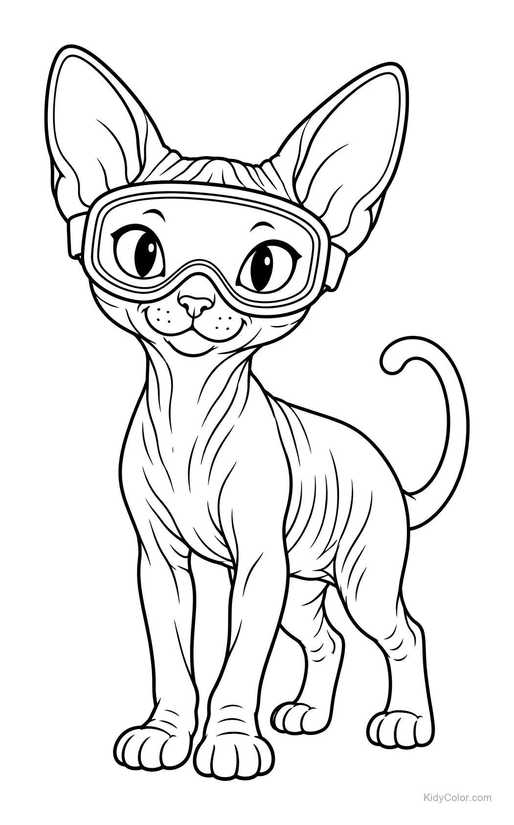 Sphynx-Katze mit Skibrille steht und schaut nach vorne.