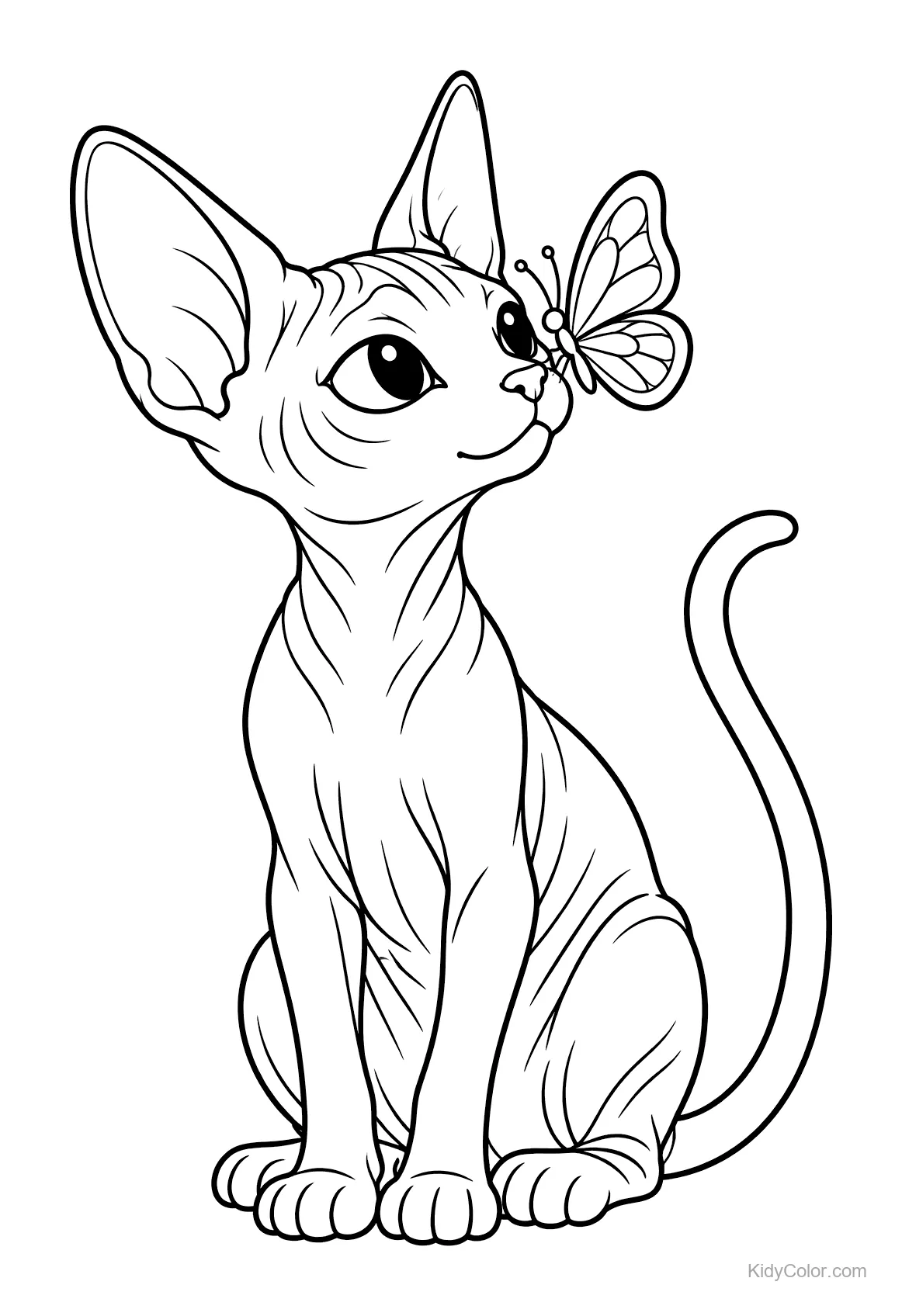 Sphynx-Katze sitzt mit einem Schmetterling auf der Nase.