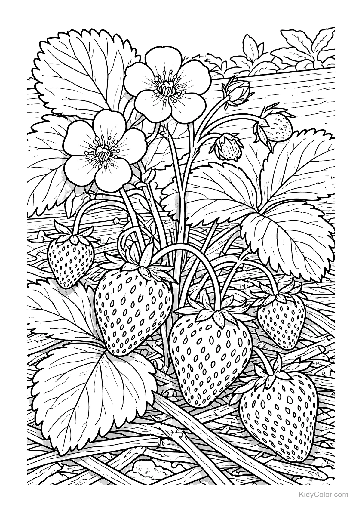 Strawberry plants with ripe strawberries and flowers.