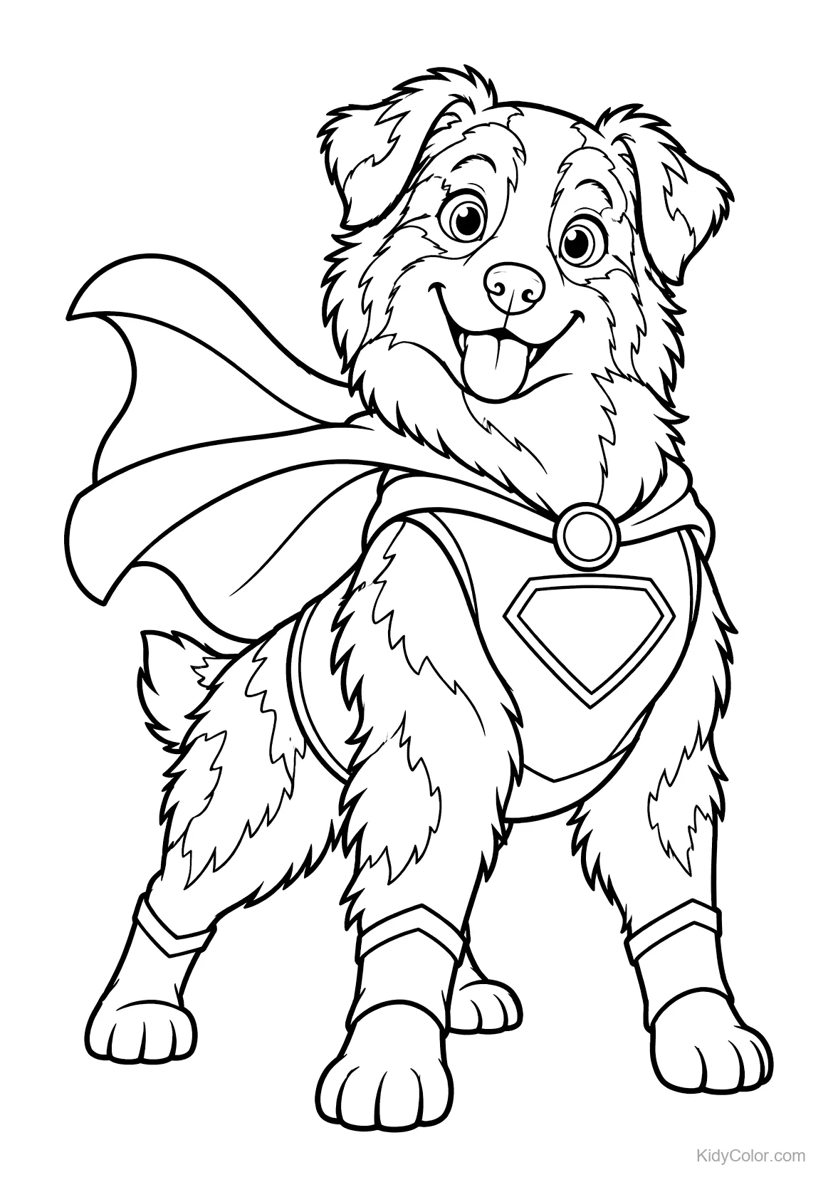 Australian Shepherd im Superheldenkostüm mit Umhang.