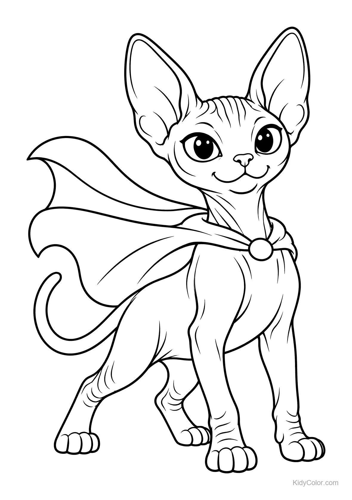 Eine Sphynxkatze mit einem Superhelden-Umhang.