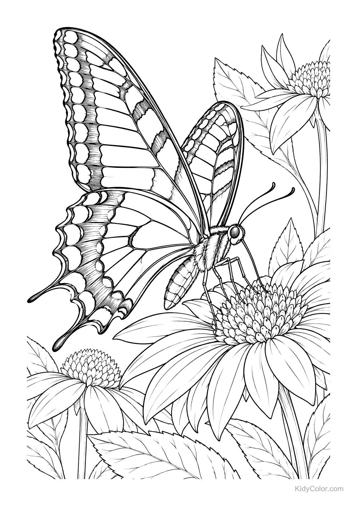 Swallowtail butterfly on a coneflower with detailed wings and petals.