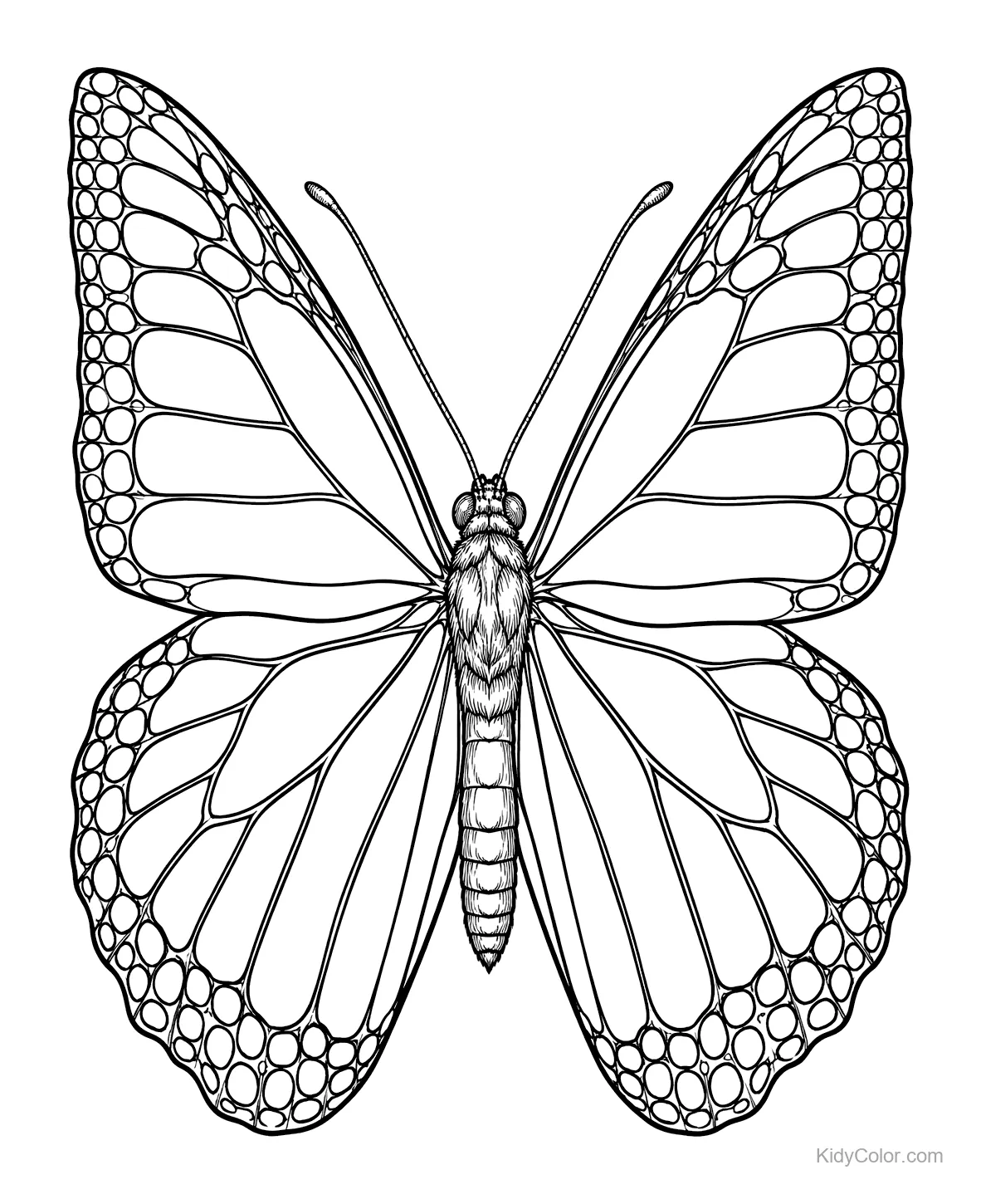 Symmetrical monarch butterfly with intricate wing patterns.
