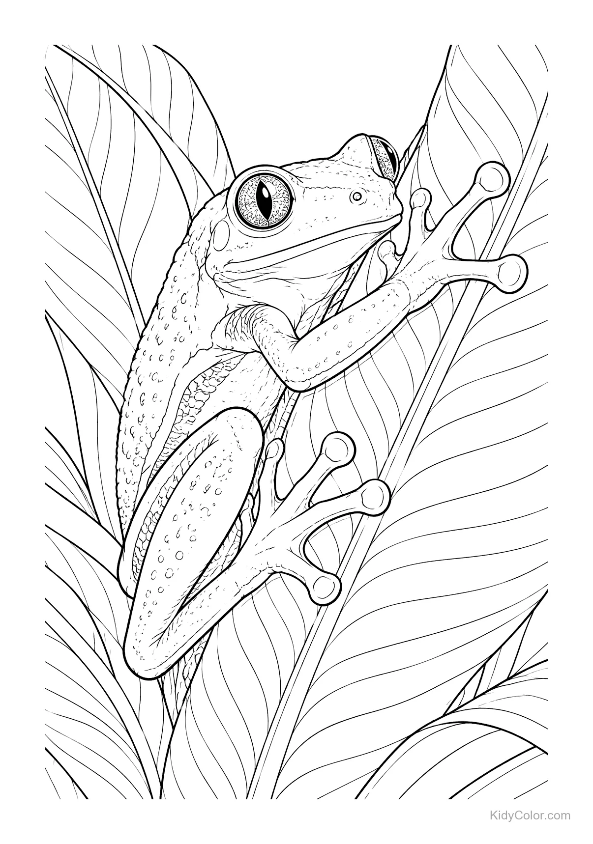 Tree frog climbing a large tropical leaf with detailed patterns.