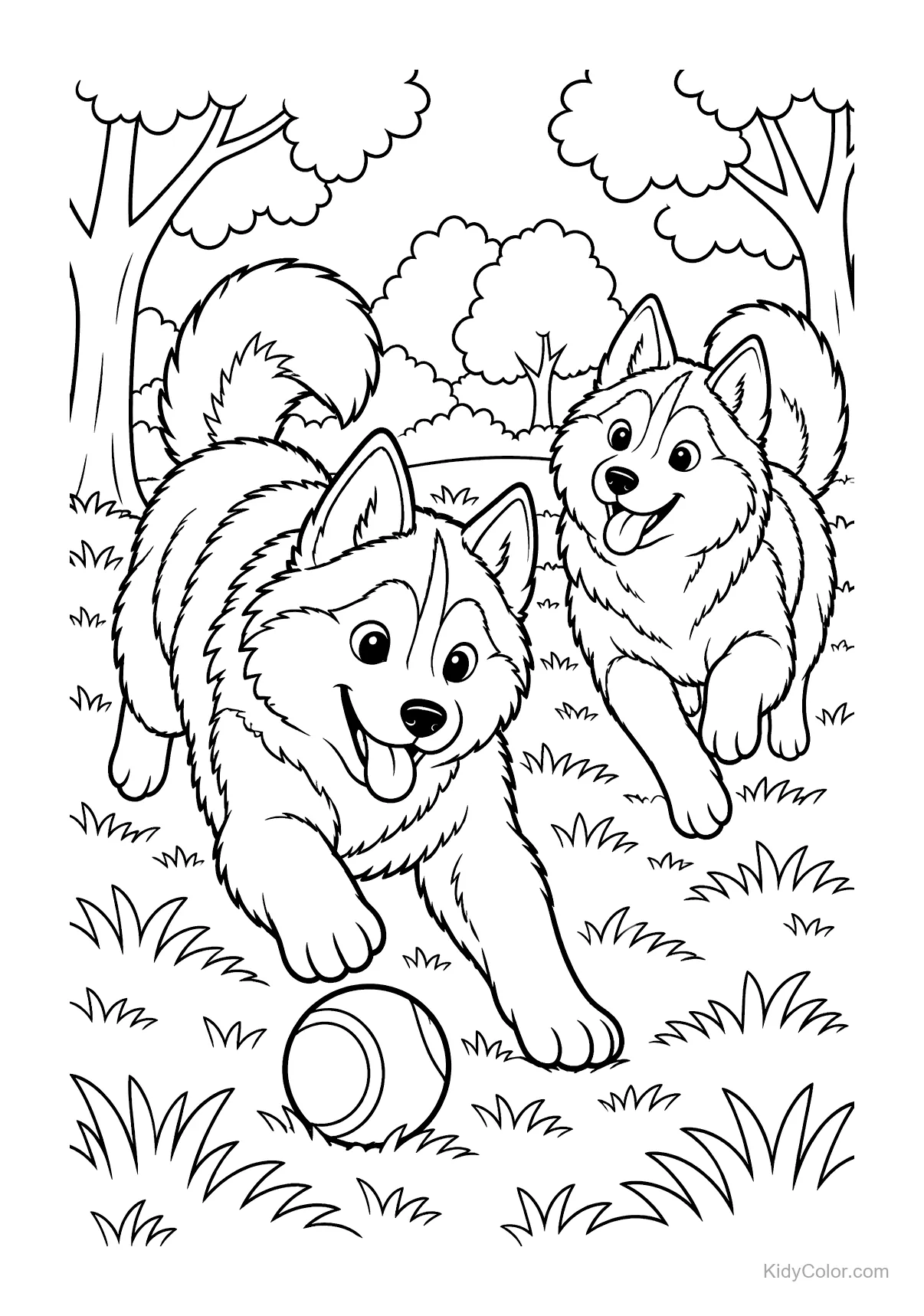 Twee husky's rennen in een veld en spelen met een bal.