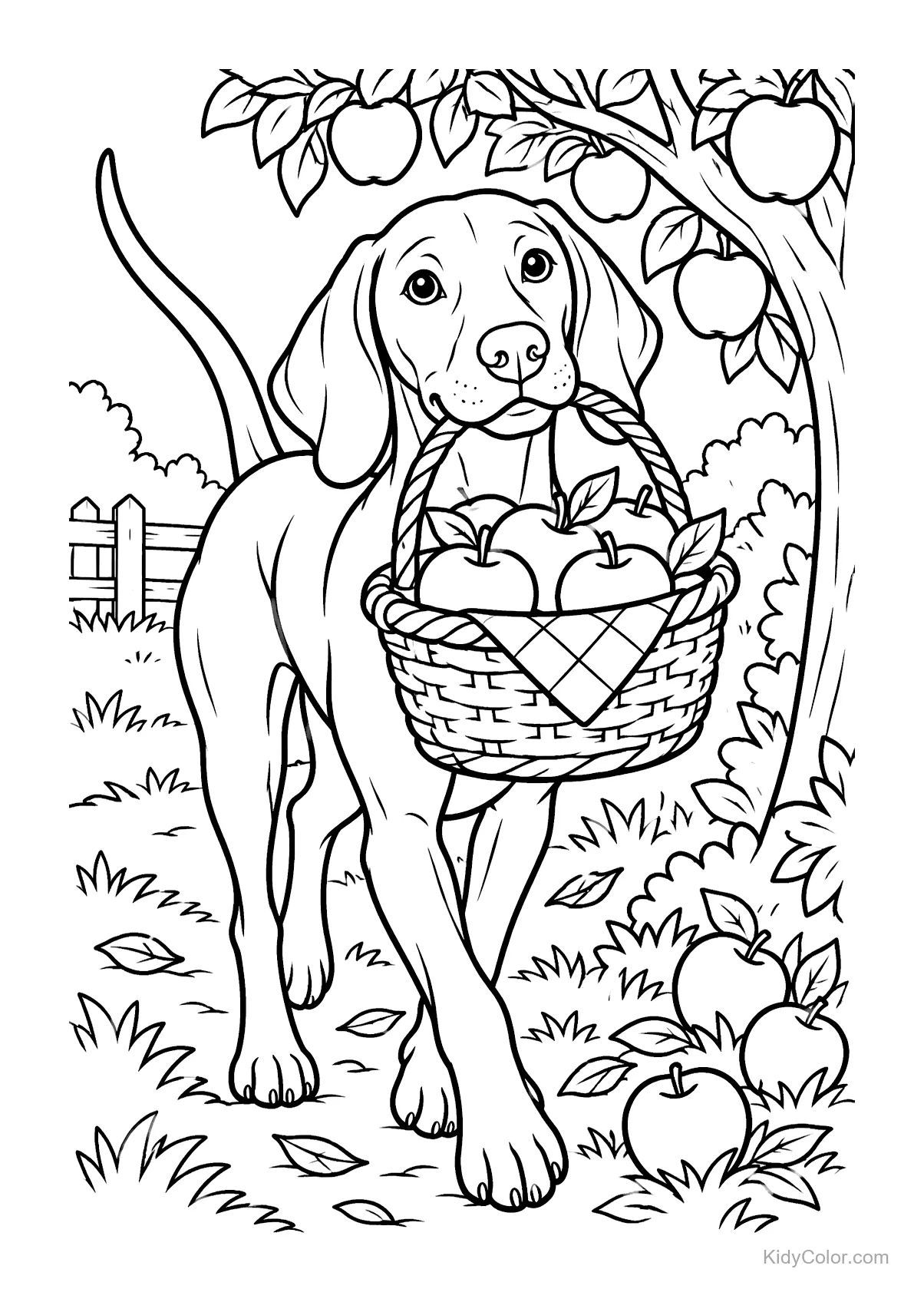 Vizsla mit einem Apfelkorb unter einem Baum.