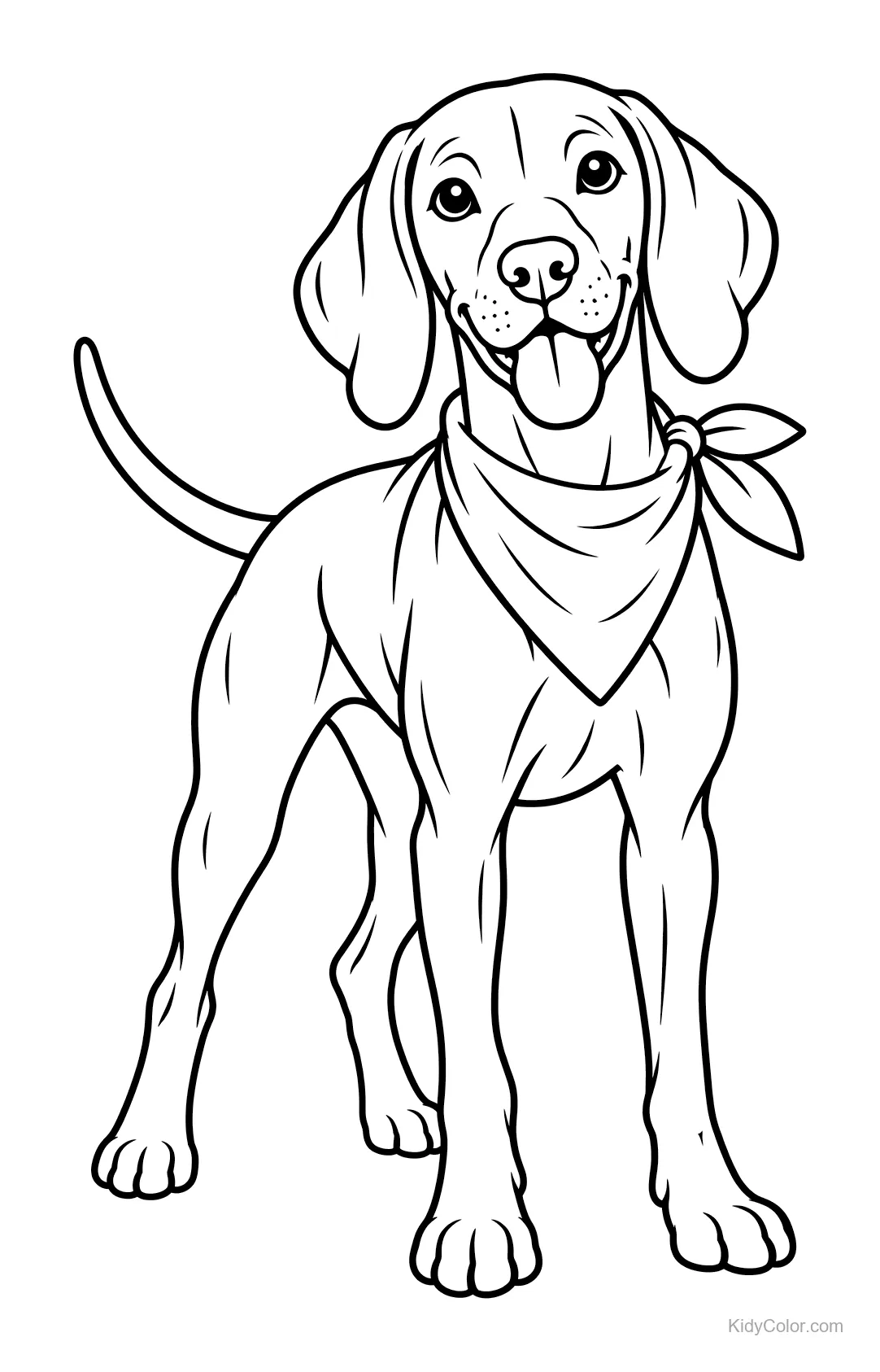 A Vizsla dog with a bandana around its neck.