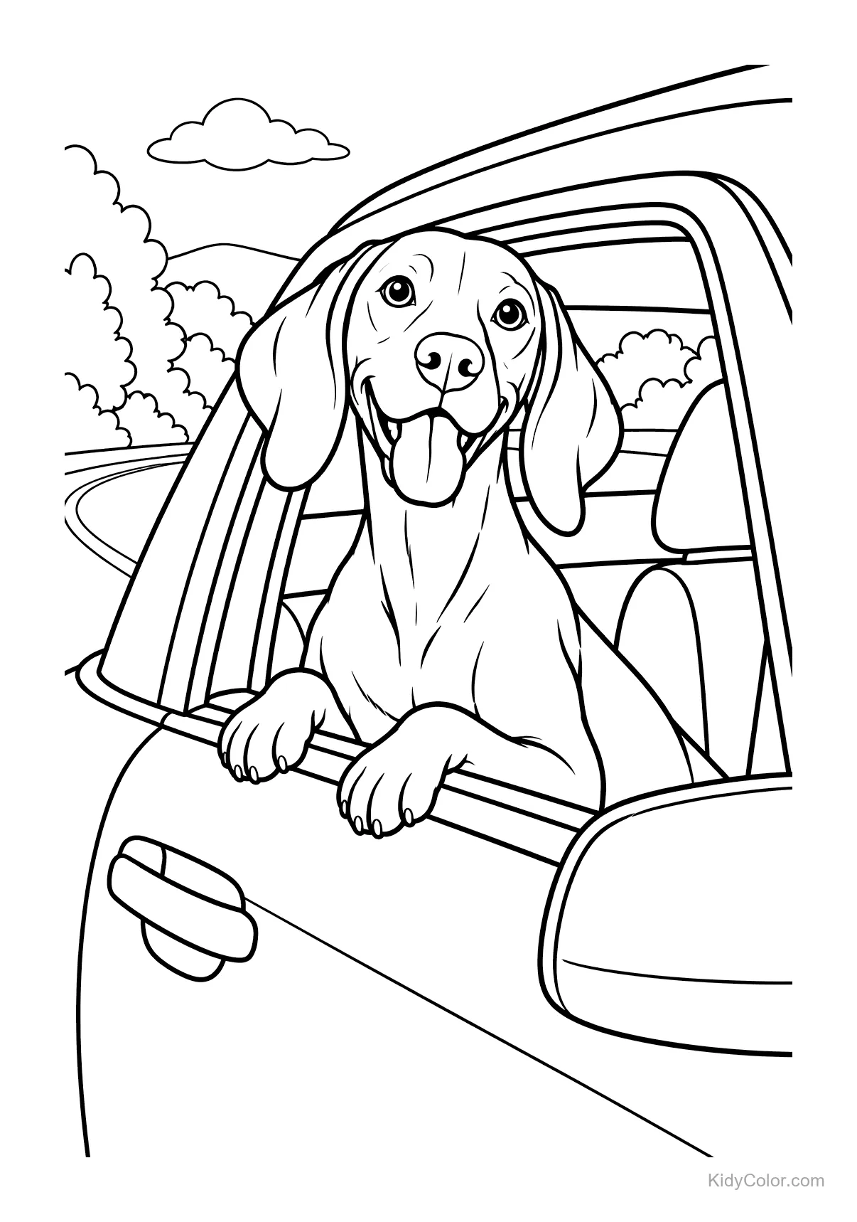 A Vizsla dog with its head out a car window, smiling.