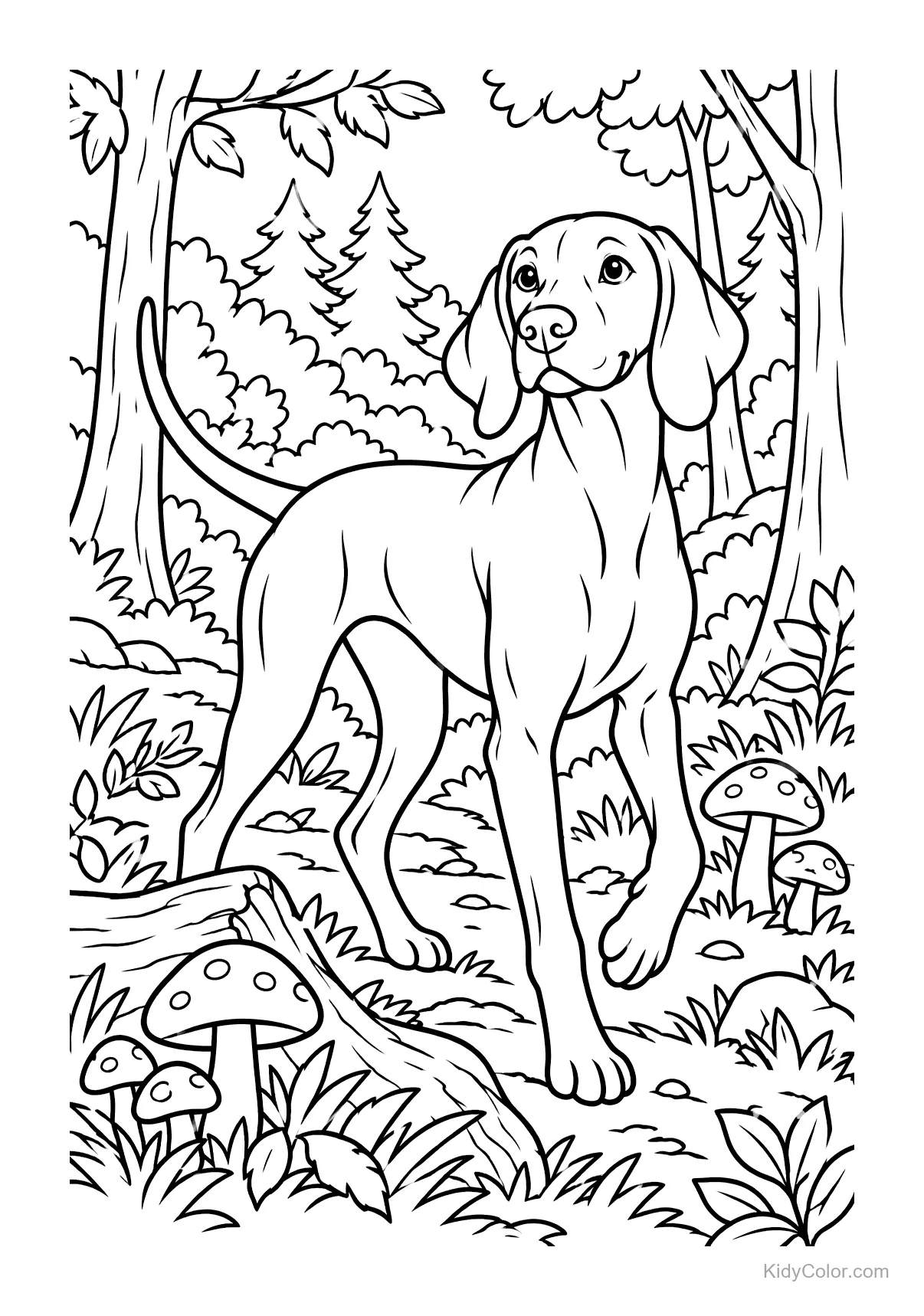 A Vizsla dog walking in a forest, trees and mushrooms around.