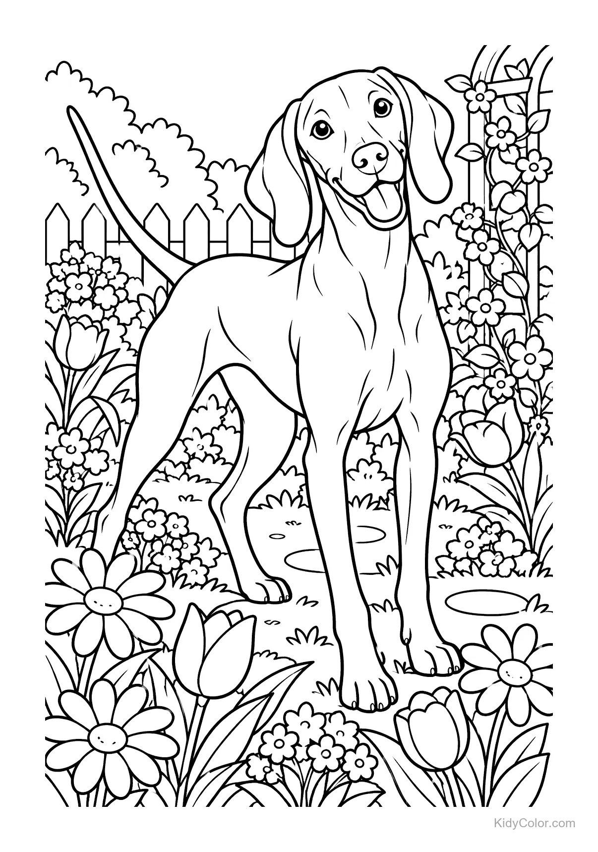 A Vizsla dog standing in a garden with flowers around.