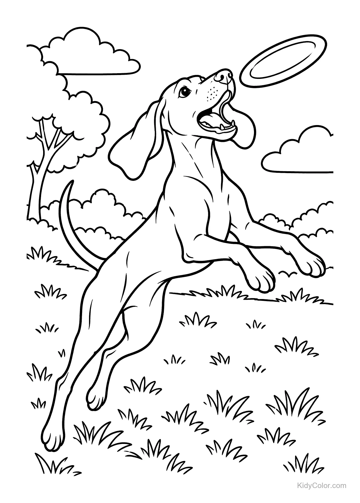 Vizsla-Hund springt, um einen Frisbee zu fangen, mit Bäumen im Hintergrund.