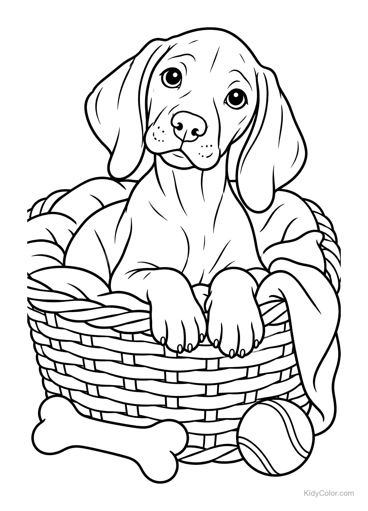 Vizsla puppy in a wicker basket with a blanket and a ball.