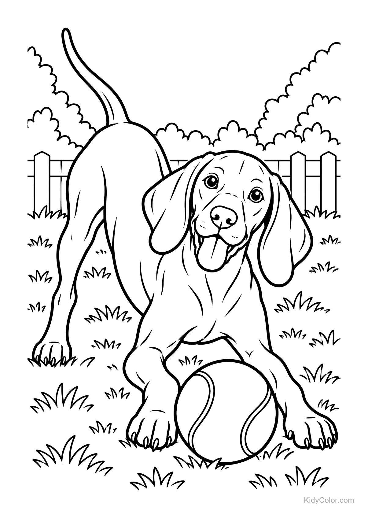 Ein Vizsla-Welpe spielt mit einem Ball im Garten.