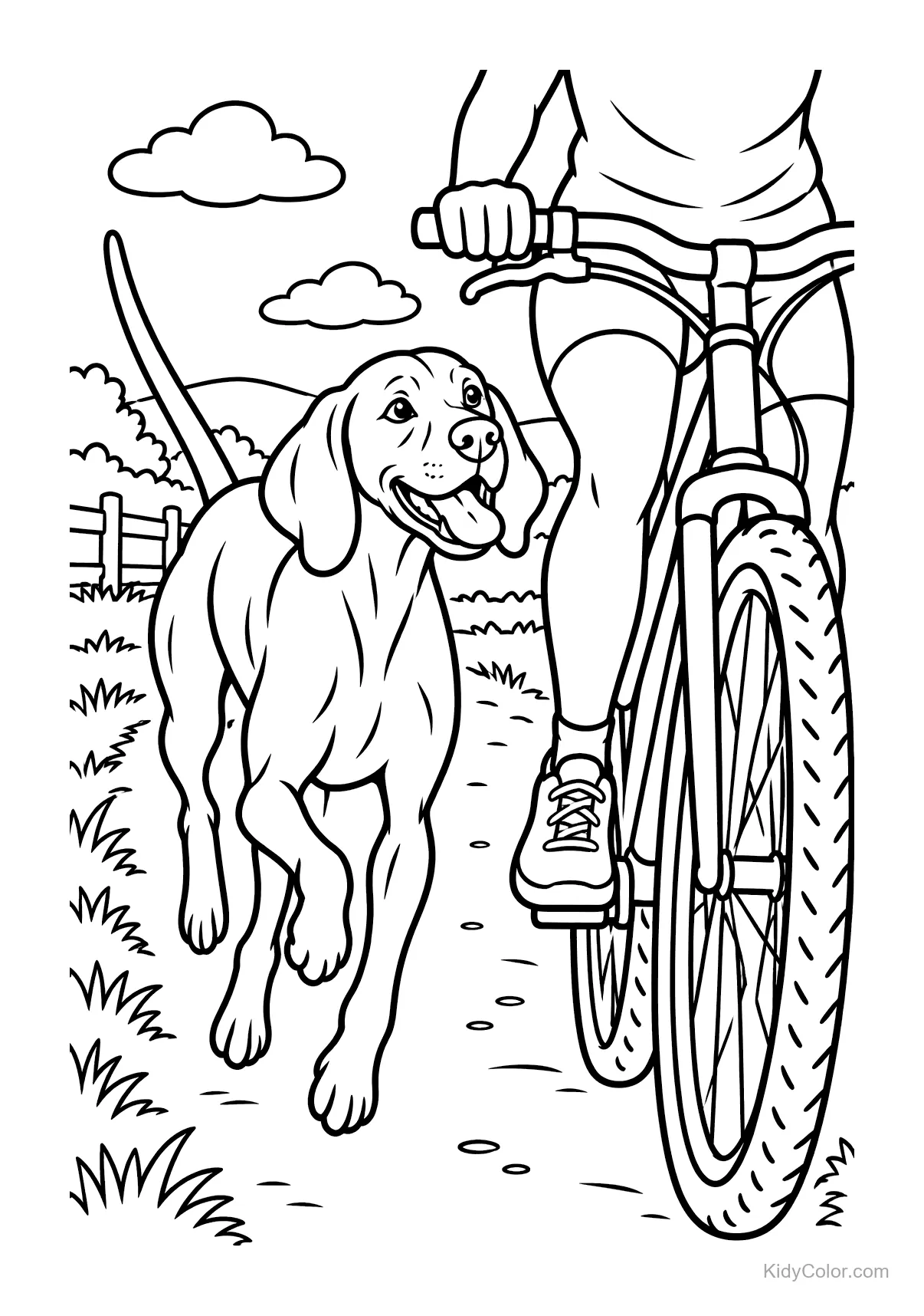 Vizsla running beside a cyclist on a countryside path.