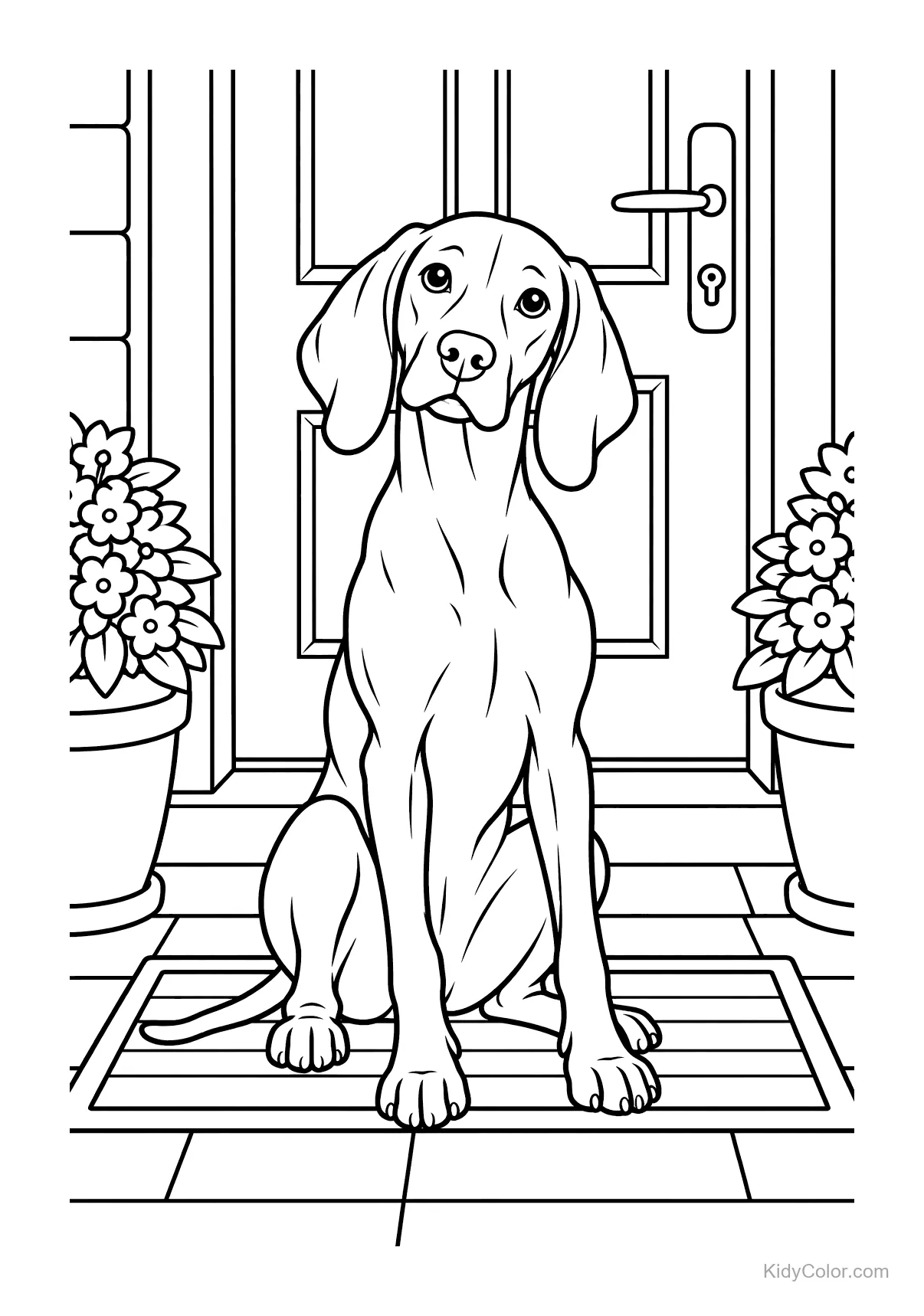 Vizsla sitting at the front door with flower pots on both sides.