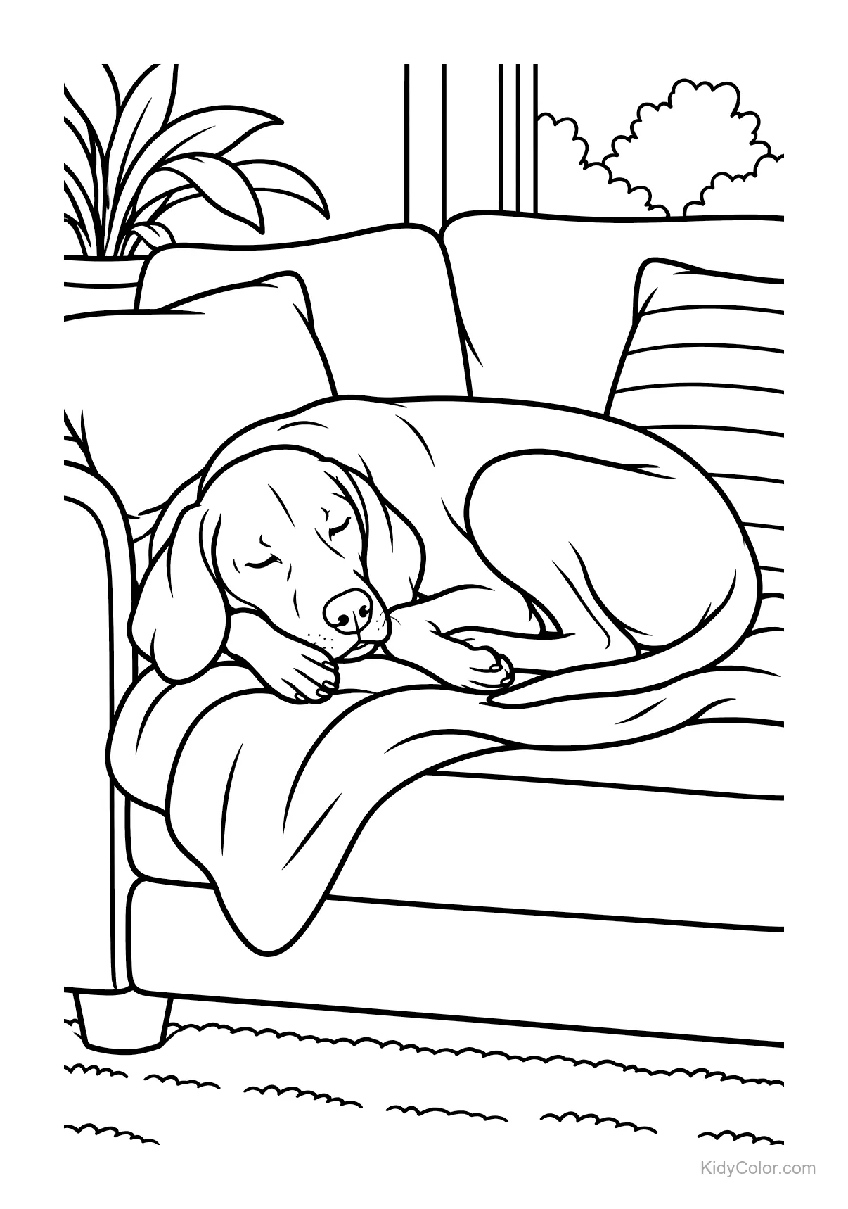 A Vizsla dog sleeping on a sofa with cushions and a blanket.