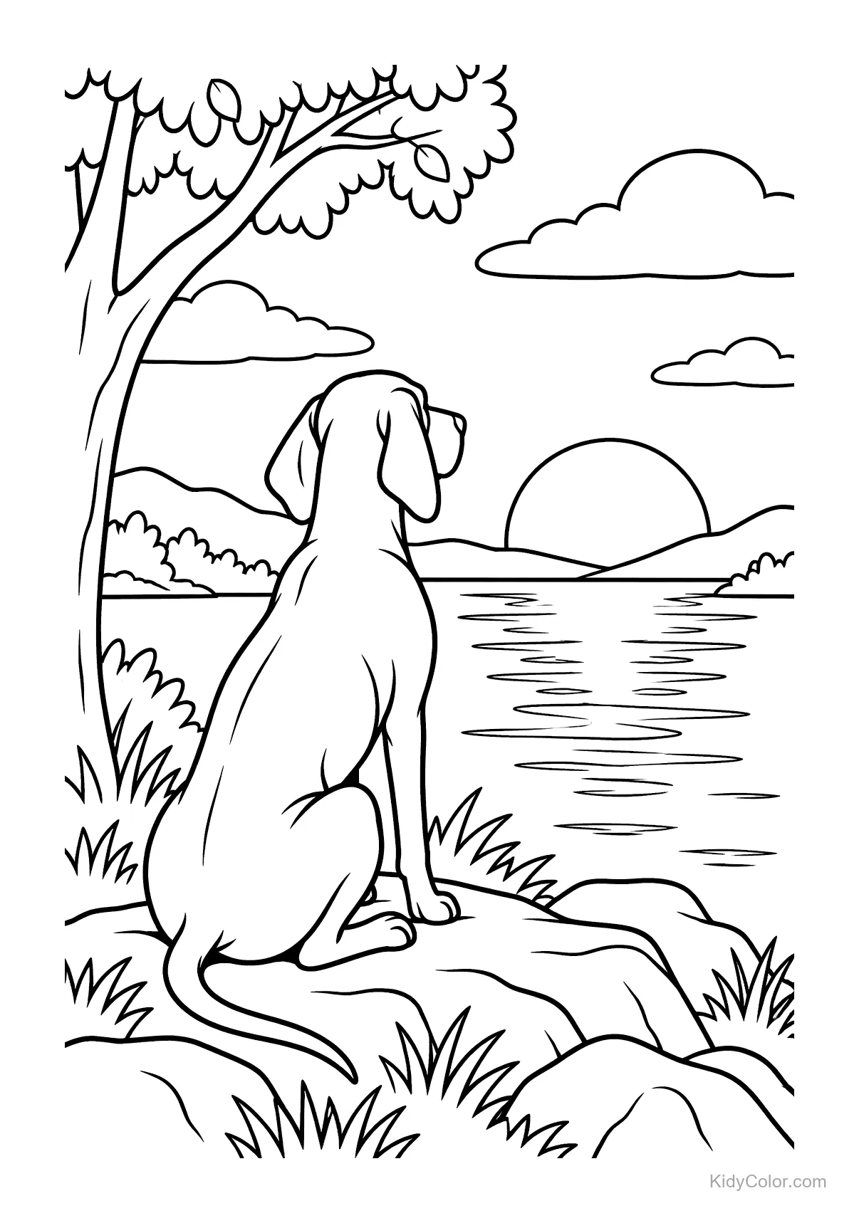 A Vizsla dog sits by a lake watching the sunset.