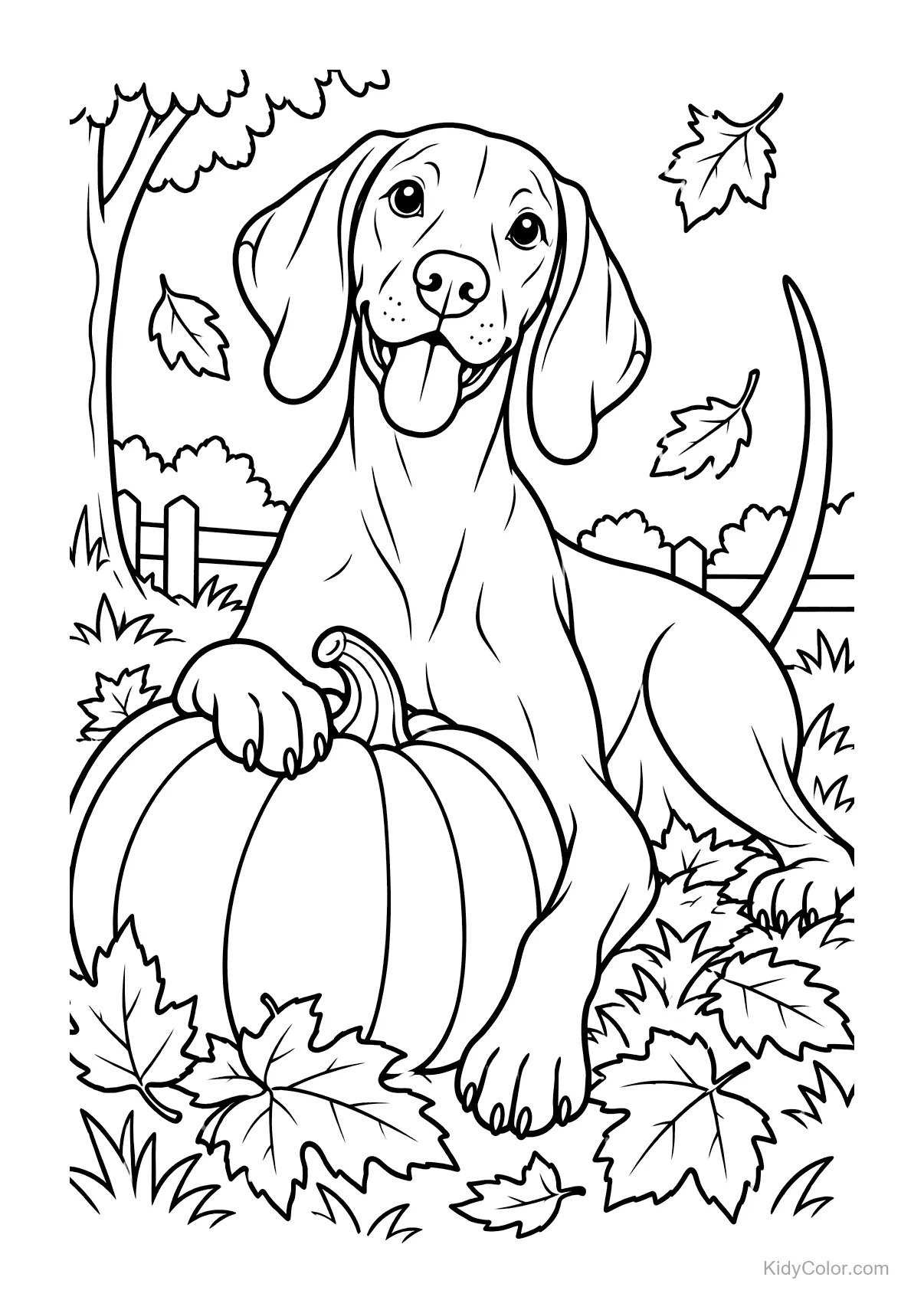 Vizsla dog sitting with a pumpkin and autumn leaves around.