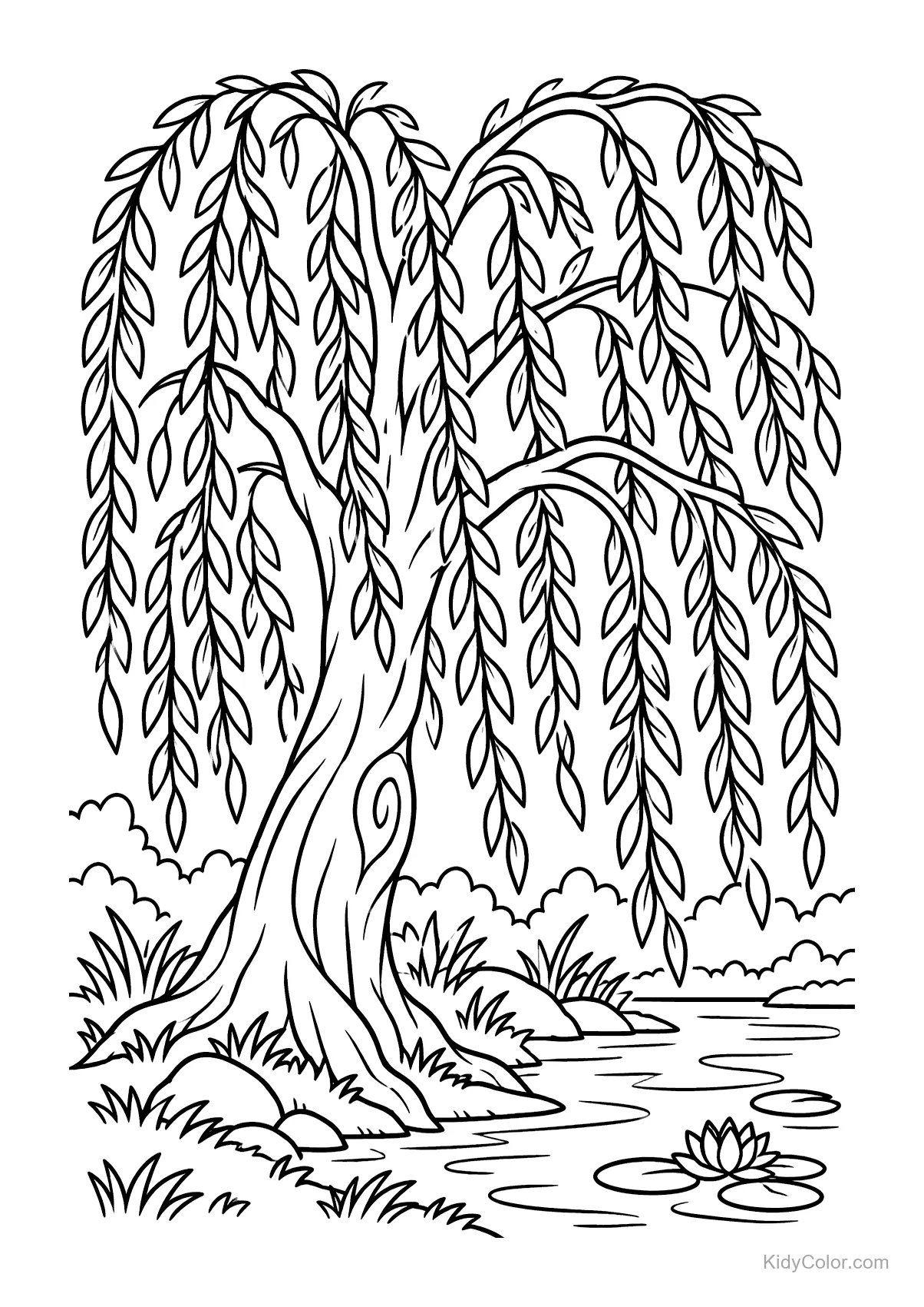 A weeping willow tree with long branches next to a pond.