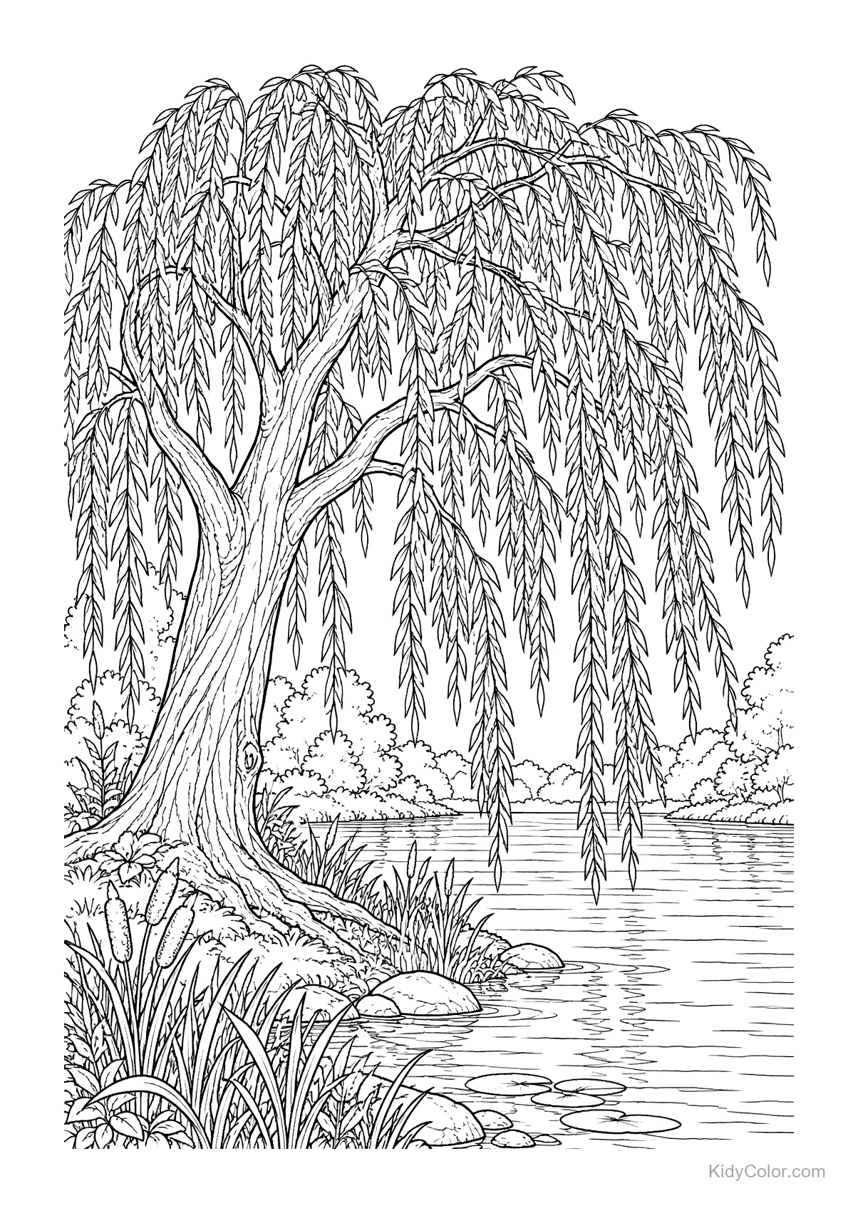 A weeping willow tree by a riverside with rocks and cattails.