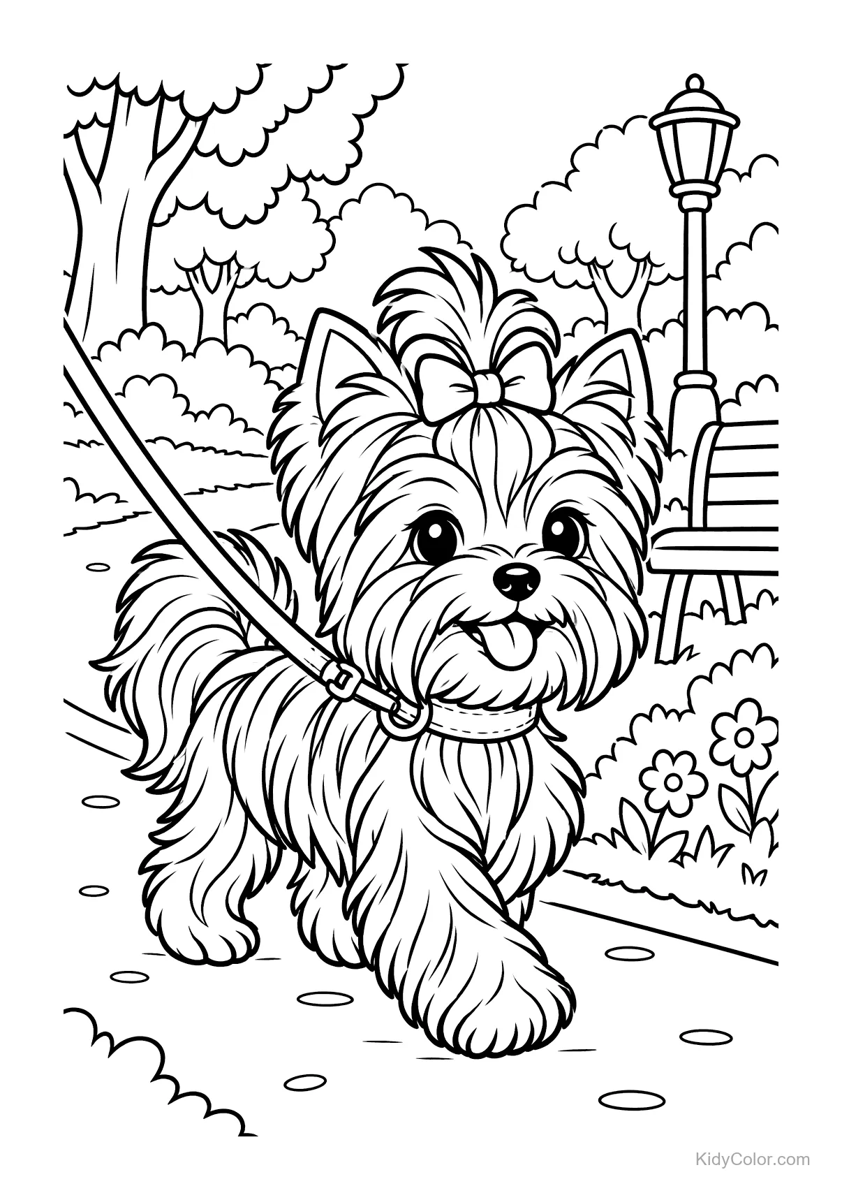 Yorkshire Terrier with a bow walking in a park on a leash.