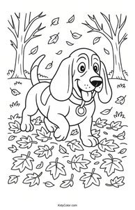 Basset Hound