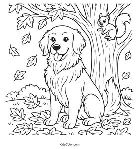 Golden Retriever