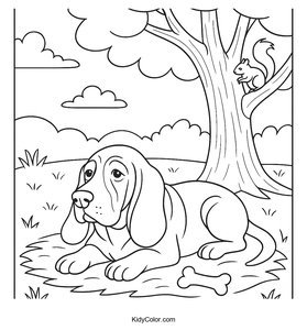 Basset Hound
