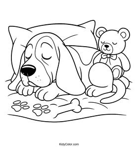 Basset Hound