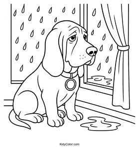 Basset Hound