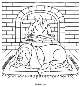 Basset Hound