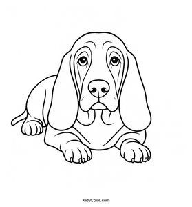 Basset Hound