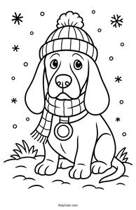 Basset Hound