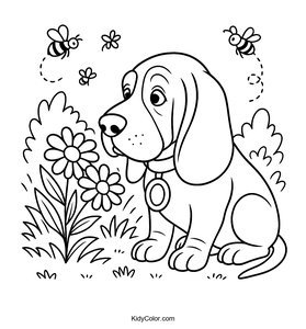Basset Hound
