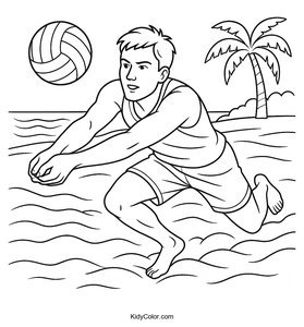 Volleyball
