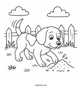 Beagle