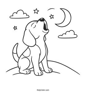 Beagle