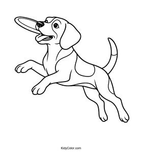 Beagle