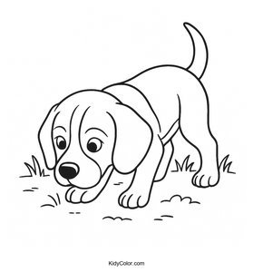 Beagle