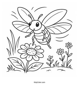 Beetles