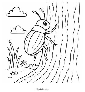 Beetles