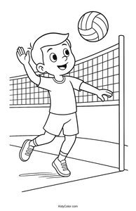 Volleyball