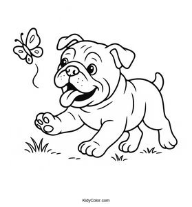 Bulldog