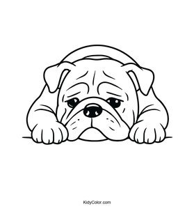 Bulldog