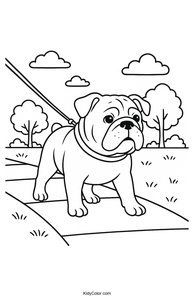Bulldog